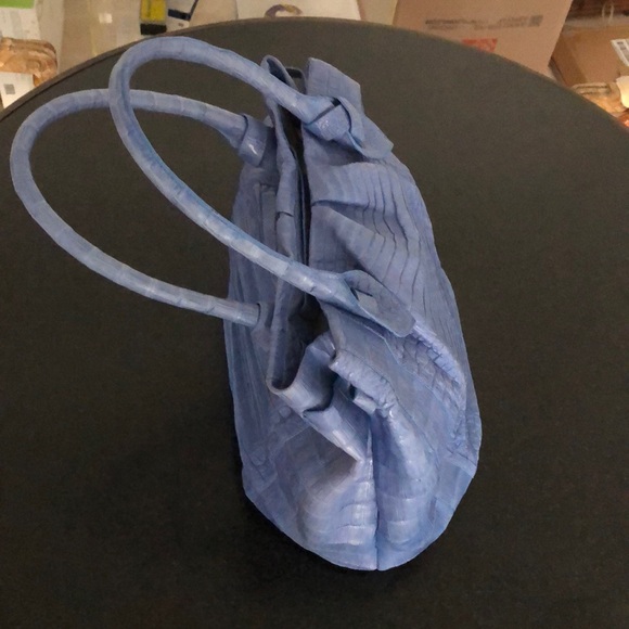 Nancy Gonzalez RARE BLUE CROCODILE. AN EXAMPLE OF A GRATEFUL OWNER… - Picture 3 of 4